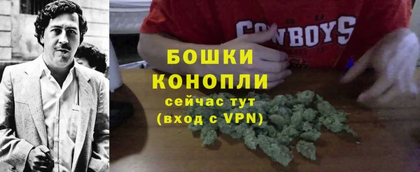 дурь Нея