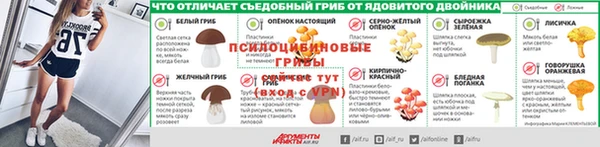 бошки Надым
