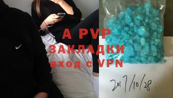 стаф Нефтегорск
