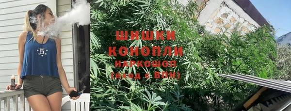 дурь Нея